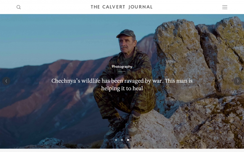 Click to visit Calvert Journal